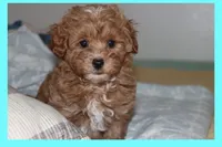 processed/75629f48-c89a-444f-ad2b-d9430fdae53a/listing/658fb9e2-ff98-4796-85e8-68cc44a58b5b/0f2cf270-d56e-4ddb-b7eb-1b5f4d3e2dd5