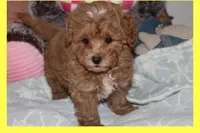 processed/75629f48-c89a-444f-ad2b-d9430fdae53a/listing/658fb9e2-ff98-4796-85e8-68cc44a58b5b/81006de1-caa6-4126-98ba-25ae65a23476