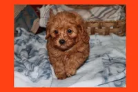 processed/75629f48-c89a-444f-ad2b-d9430fdae53a/listing/d202c0f7-47ae-4416-812c-2b9181657a00/9b90579f-ae7d-4b7e-833b-551ec2e533ff