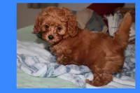 processed/75629f48-c89a-444f-ad2b-d9430fdae53a/listing/d202c0f7-47ae-4416-812c-2b9181657a00/9e66c837-116d-40b8-bb7c-a1349ef2ca8e