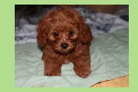 processed/75629f48-c89a-444f-ad2b-d9430fdae53a/listing/d202c0f7-47ae-4416-812c-2b9181657a00/b47b2ebd-aa82-4644-842b-20b83ffdd69c