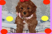 processed/75629f48-c89a-444f-ad2b-d9430fdae53a/listing/d4dfb11b-7158-41d2-8c9a-f6769c149724/1e220381-fe91-4ea4-b93c-07cc4fd78252