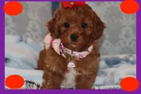 processed/75629f48-c89a-444f-ad2b-d9430fdae53a/listing/d4dfb11b-7158-41d2-8c9a-f6769c149724/4734358f-33bc-4dc9-8ce0-cac94a2b2678