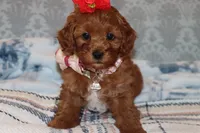 processed/75629f48-c89a-444f-ad2b-d9430fdae53a/listing/d4dfb11b-7158-41d2-8c9a-f6769c149724/f86a66f1-011b-41d0-8196-049eb8264034