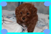 processed/75629f48-c89a-444f-ad2b-d9430fdae53a/listing/e3bcd5d2-2113-4357-89b6-9925eae0e469/6a8f86ae-17d9-4b3c-8f8f-4da67cb034c6