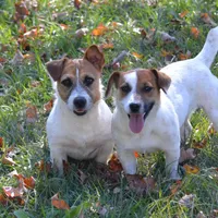 processed/75637532-d230-4c1d-88ea-35d8e3db83c3/facility/a1d8d6d5-6839-4116-b5e5-33a8c772dc46