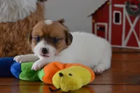 processed/75637532-d230-4c1d-88ea-35d8e3db83c3/listing/22f8299a-5385-49e2-bdae-3bd15f9be4fe/6f394c02-e976-4049-814c-5ebde639fd27