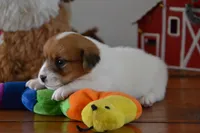 processed/75637532-d230-4c1d-88ea-35d8e3db83c3/listing/22f8299a-5385-49e2-bdae-3bd15f9be4fe/95ed355a-8c23-47ff-b546-53b146dc6ef6