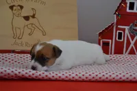 processed/75637532-d230-4c1d-88ea-35d8e3db83c3/listing/5a65eb0a-94d9-43d9-8446-a50d87d5c3fe/2959a713-43e0-4eaa-921c-a47d1cfde373