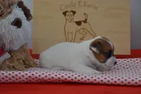 processed/75637532-d230-4c1d-88ea-35d8e3db83c3/listing/5a65eb0a-94d9-43d9-8446-a50d87d5c3fe/346e56f6-d21a-4208-875d-b04315ec53e9