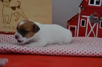 processed/75637532-d230-4c1d-88ea-35d8e3db83c3/listing/5a65eb0a-94d9-43d9-8446-a50d87d5c3fe/4be900f6-b4d7-4e75-bbc1-a357350a83cb