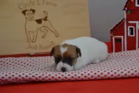 processed/75637532-d230-4c1d-88ea-35d8e3db83c3/listing/5a65eb0a-94d9-43d9-8446-a50d87d5c3fe/69ac4279-2b9f-433f-a36b-b05c5535ddc8