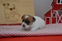 processed/75637532-d230-4c1d-88ea-35d8e3db83c3/listing/5a65eb0a-94d9-43d9-8446-a50d87d5c3fe/827e410e-e3d1-449d-a686-abac9aee3fc8