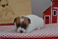 processed/75637532-d230-4c1d-88ea-35d8e3db83c3/listing/5a65eb0a-94d9-43d9-8446-a50d87d5c3fe/d4eb3899-4ff5-4551-bfbc-ef922ec01da9