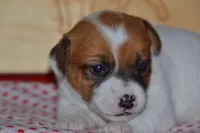 processed/75637532-d230-4c1d-88ea-35d8e3db83c3/listing/5a65eb0a-94d9-43d9-8446-a50d87d5c3fe/d63d36f7-f78f-4afd-aa1b-34166ebb9ab9