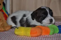 processed/75637532-d230-4c1d-88ea-35d8e3db83c3/listing/6da605cc-6841-471d-b303-ef2224e6d614/15a2af99-540d-44f5-afdf-71ebc9f3a995