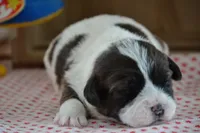 processed/75637532-d230-4c1d-88ea-35d8e3db83c3/listing/6da605cc-6841-471d-b303-ef2224e6d614/21e887ae-95b5-41c9-a67f-e0d9d4e84f33