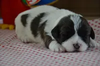 processed/75637532-d230-4c1d-88ea-35d8e3db83c3/listing/6da605cc-6841-471d-b303-ef2224e6d614/4132600c-28fc-4864-a914-9784438a902b