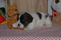 processed/75637532-d230-4c1d-88ea-35d8e3db83c3/listing/6da605cc-6841-471d-b303-ef2224e6d614/9248f619-619c-4a7e-b7b7-dec09df1c465