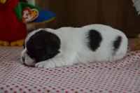 processed/75637532-d230-4c1d-88ea-35d8e3db83c3/listing/6da605cc-6841-471d-b303-ef2224e6d614/a3248016-94f7-4035-a798-18e46caf0f82