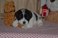 processed/75637532-d230-4c1d-88ea-35d8e3db83c3/listing/6da605cc-6841-471d-b303-ef2224e6d614/bcb772ab-90f9-49ac-84d8-489eb87c6401