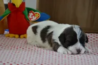 processed/75637532-d230-4c1d-88ea-35d8e3db83c3/listing/6da605cc-6841-471d-b303-ef2224e6d614/eb4f1842-dc17-4eae-bd10-a7b82ee1ab0d