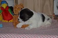 processed/75637532-d230-4c1d-88ea-35d8e3db83c3/listing/6da605cc-6841-471d-b303-ef2224e6d614/f5807c2e-486c-4e72-acb9-553209cb1e72