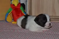 processed/75637532-d230-4c1d-88ea-35d8e3db83c3/listing/77d48f54-513f-4123-b035-9db1101a9d2f/38fc9319-52f7-4303-913a-3c4f115b710d