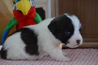 processed/75637532-d230-4c1d-88ea-35d8e3db83c3/listing/77d48f54-513f-4123-b035-9db1101a9d2f/3fb4a2a5-05e5-46db-b416-74cd78d1663a