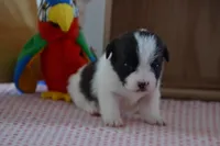 processed/75637532-d230-4c1d-88ea-35d8e3db83c3/listing/77d48f54-513f-4123-b035-9db1101a9d2f/b27f6c14-3ec7-4f60-8759-b0a80b27a98f