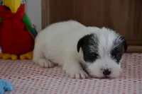 processed/75637532-d230-4c1d-88ea-35d8e3db83c3/listing/8a9a190f-a8b1-4267-8d53-6478eb542b7b/95507bf3-9e76-4c2b-ae6f-21346afc5eb8