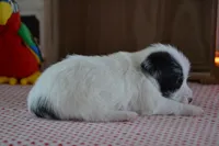 processed/75637532-d230-4c1d-88ea-35d8e3db83c3/listing/8a9a190f-a8b1-4267-8d53-6478eb542b7b/cb4707c7-94ee-4d76-9658-31c4b58a94d1