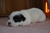 processed/75637532-d230-4c1d-88ea-35d8e3db83c3/listing/8a9a190f-a8b1-4267-8d53-6478eb542b7b/d1a547c7-c824-4595-9c49-3613d8d29fce