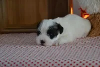 processed/75637532-d230-4c1d-88ea-35d8e3db83c3/listing/8a9a190f-a8b1-4267-8d53-6478eb542b7b/e040e2fc-85b6-4864-871c-4aab4bf59742