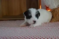 processed/75637532-d230-4c1d-88ea-35d8e3db83c3/listing/8a9a190f-a8b1-4267-8d53-6478eb542b7b/f8e50e68-21fc-42cb-834f-81decbeccc6e