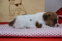 processed/75637532-d230-4c1d-88ea-35d8e3db83c3/listing/cc50fd1e-4ff4-4d3b-ab57-aacffa796acc/38f93921-feab-49cc-9eda-14fc9d44c813