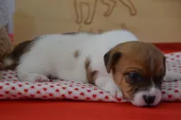 processed/75637532-d230-4c1d-88ea-35d8e3db83c3/listing/cc50fd1e-4ff4-4d3b-ab57-aacffa796acc/8267a999-74f9-4427-bb51-96c3f5329413