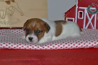 processed/75637532-d230-4c1d-88ea-35d8e3db83c3/listing/cc50fd1e-4ff4-4d3b-ab57-aacffa796acc/bd044da8-5b13-438a-814f-3c7ec1775dde