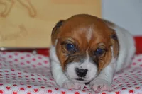 processed/75637532-d230-4c1d-88ea-35d8e3db83c3/listing/cc50fd1e-4ff4-4d3b-ab57-aacffa796acc/ef2196b7-dd54-4aa7-ba9d-26674b0dab79