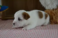 processed/75637532-d230-4c1d-88ea-35d8e3db83c3/listing/d65747d5-25cc-4f7c-aec6-d6d7c9d36803/06684b19-2e82-45c1-9884-34441daf1fe3