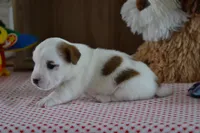 processed/75637532-d230-4c1d-88ea-35d8e3db83c3/listing/d65747d5-25cc-4f7c-aec6-d6d7c9d36803/28d0fe34-cf2d-4671-839b-d6cbdc97a82d