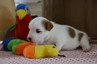 processed/75637532-d230-4c1d-88ea-35d8e3db83c3/listing/d65747d5-25cc-4f7c-aec6-d6d7c9d36803/321204f9-d6b7-4f93-b9fa-9a6089b7e19d