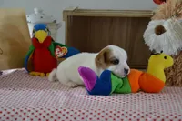 processed/75637532-d230-4c1d-88ea-35d8e3db83c3/listing/d65747d5-25cc-4f7c-aec6-d6d7c9d36803/b1f39b2c-22a4-4b47-af21-411edb1c67e7