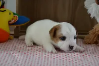 processed/75637532-d230-4c1d-88ea-35d8e3db83c3/listing/d65747d5-25cc-4f7c-aec6-d6d7c9d36803/f2cd0b0a-0041-42e4-9dad-f5b1124acd06