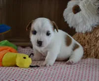 processed/75637532-d230-4c1d-88ea-35d8e3db83c3/listing/d65747d5-25cc-4f7c-aec6-d6d7c9d36803/f63a8b55-db59-4d39-a53d-548d455a027d