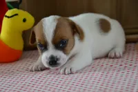 processed/75637532-d230-4c1d-88ea-35d8e3db83c3/listing/efa41fc6-c4be-4df0-8639-a2e71979c0f5/8b143464-5a2a-490d-be56-c88c96dafd64