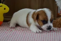 processed/75637532-d230-4c1d-88ea-35d8e3db83c3/listing/efa41fc6-c4be-4df0-8639-a2e71979c0f5/927387b6-c40b-4ff1-a415-ed5931cfc20d