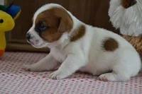 processed/75637532-d230-4c1d-88ea-35d8e3db83c3/listing/efa41fc6-c4be-4df0-8639-a2e71979c0f5/d4bcd462-3db8-4e21-b21a-13eb9a444b5b