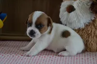 processed/75637532-d230-4c1d-88ea-35d8e3db83c3/listing/efa41fc6-c4be-4df0-8639-a2e71979c0f5/fb377517-e688-479c-af9c-4ad89e1382fd