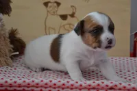 processed/75637532-d230-4c1d-88ea-35d8e3db83c3/listing/f7fd3ad9-971b-419f-b926-67f2ed2ceb61/006f6982-1a24-47af-ba86-9a7500493992